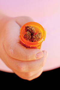 RCMP wants notification of registered medical marijuana